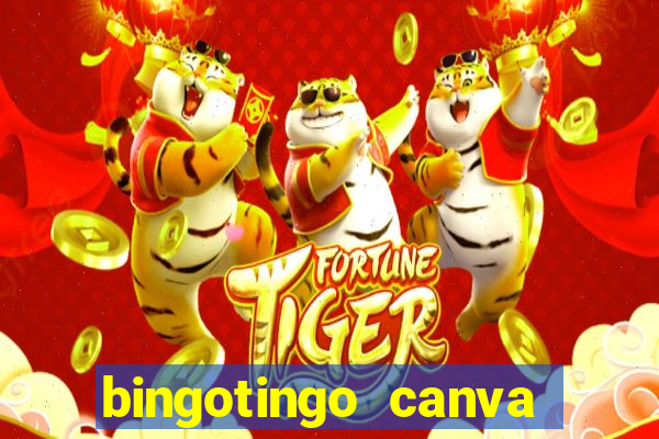 bingotingo canva pro gratis